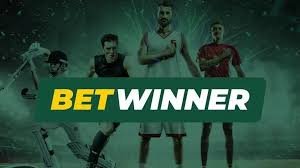 BetWinner Bookmaker Your Ultimate Guide to Sports Betting