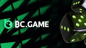 Maximize Your Winnings Comprehensive Guide to BC.Game Bonuses & Promo Codes